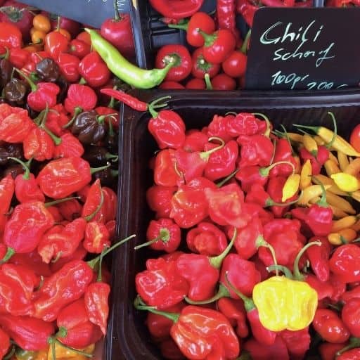 Bright red chili peppers bundled together at a green market stall in Central Europe.