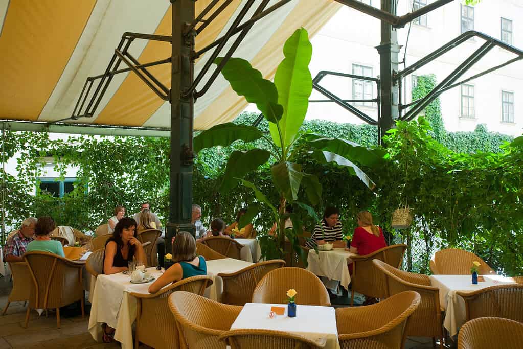 Haas & Haas Tea House Vienna – garden café with shaded seating and greenery Outdoor garden seating at Haas & Haas Tea House in Vienna with wicker chairs, white tablecloths, and lush greenery beneath a striped canopy