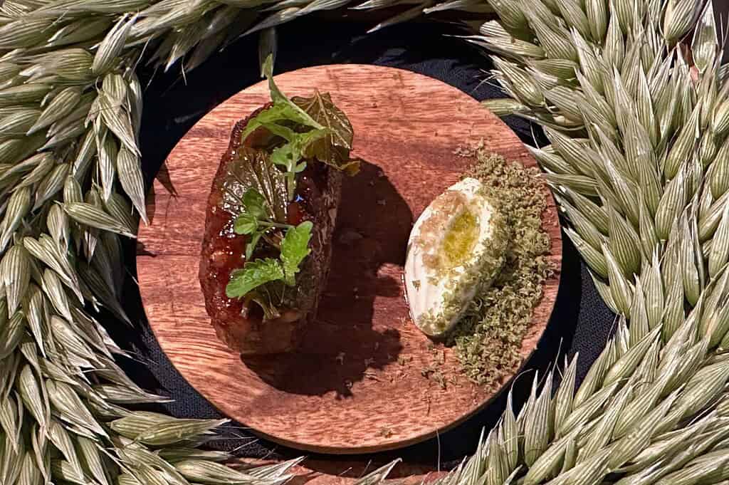 Photo gallery of SALT in Budapest, featuring inventive plating, seasonal dishes with herb-forward presentation, and a poppy seed–based course reflecting the restaurant’s contemporary interpretation of Hungarian cuisine.