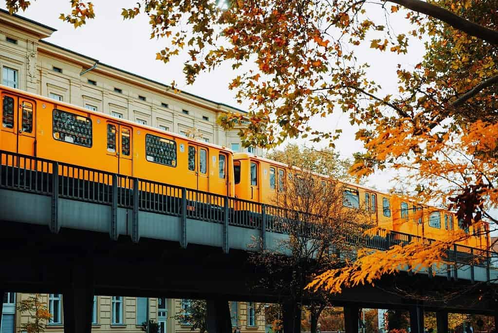 Yellow Berlin U-Bahn train passing through autumn foliage in a residential neighborhood