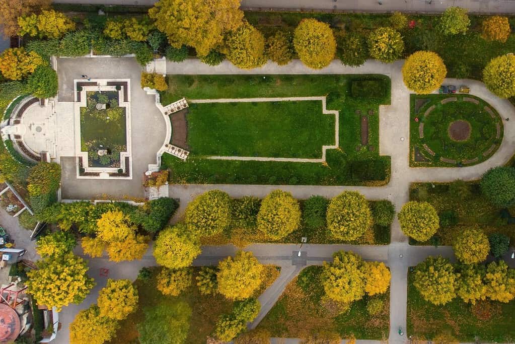 Aerial view of the Volksgarten in Vienna with geometric landscaping and lines of trees with yellow leaves