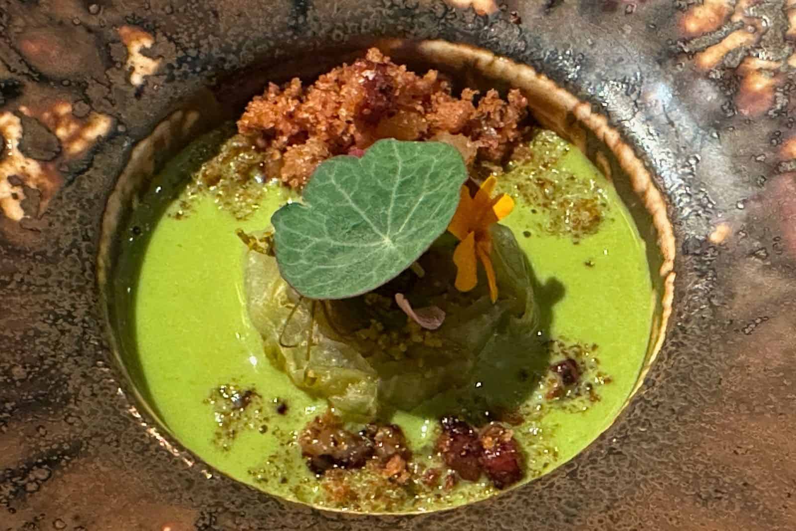 Seasonal dish at SALT Budapest featuring foraged and fermented ingredients in a vibrant green sauce