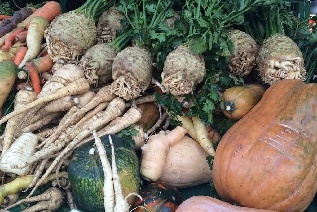 Autumn produce at Vienna’s Naschmarkt, including pumpkins, celeriac, parsnips, carrots, and other seasonal vegetables